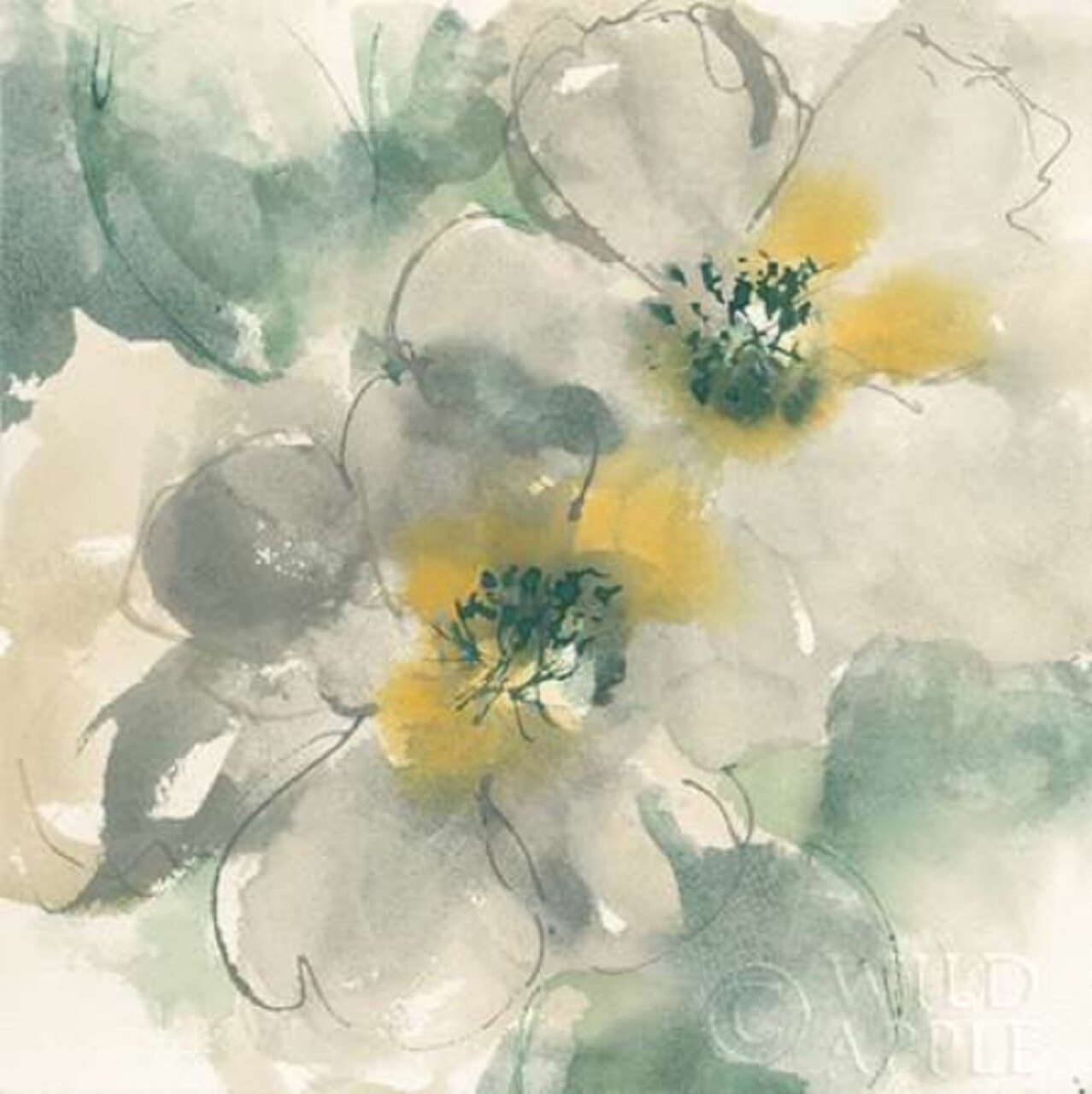 Silver Quince I Poster Print by Chris Paschke - Item # VARPDX24355